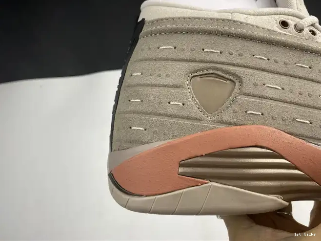 14 Low Jordan Blush Retro DC9857-200 Clot Terra AIR 0520